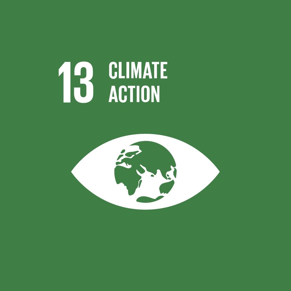 SDG 13 Climate Action